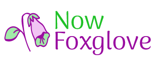 nowfoxglove.com